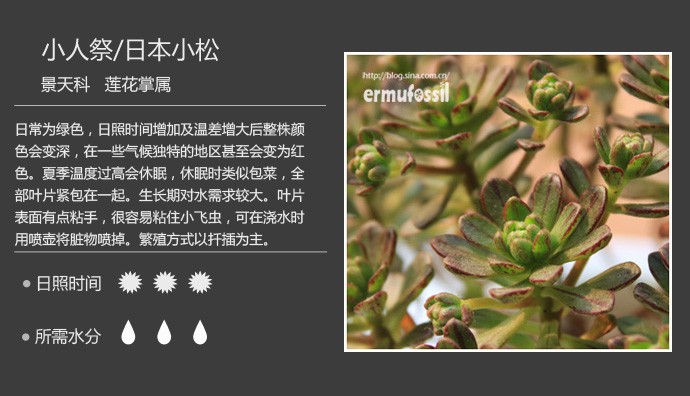 忍 - 楚天 - 楚天·海闊天空