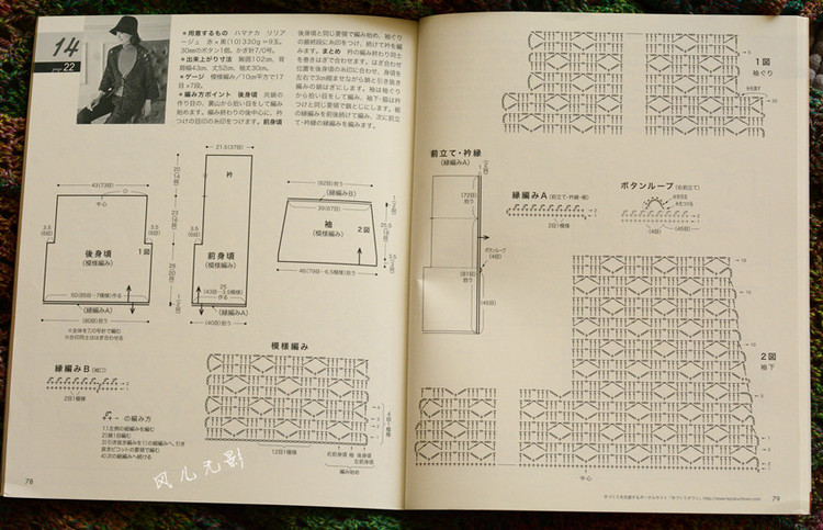 叢林 - 風(fēng)兒無影 - 風(fēng)兒無影的博客