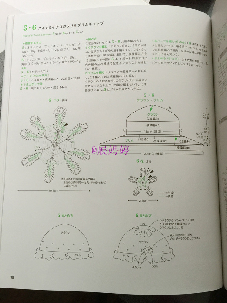 展娉婷新年禮物第二發(fā)：簡(jiǎn)單！鉤針編織孩子喜歡的水果·蔬菜·甜點(diǎn)帽子 - 展娉婷 - 展娉婷的鉤針世界