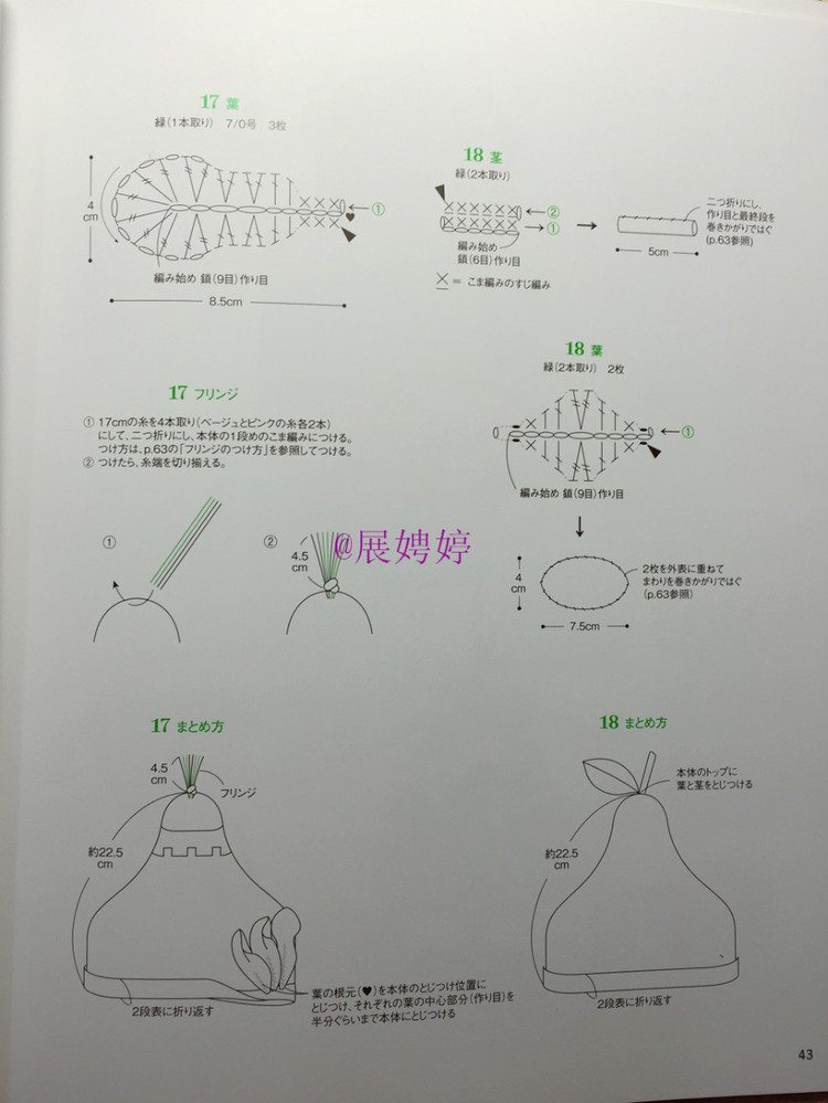 展娉婷新年禮物第二發(fā)：簡(jiǎn)單！鉤針編織孩子喜歡的水果·蔬菜·甜點(diǎn)帽子 - 展娉婷 - 展娉婷的鉤針世界