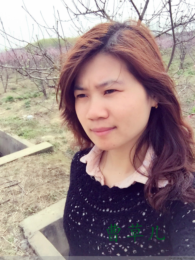 【曹草兒】----金羊黑蔥衣 - 曹草兒 - 曹草兒博客