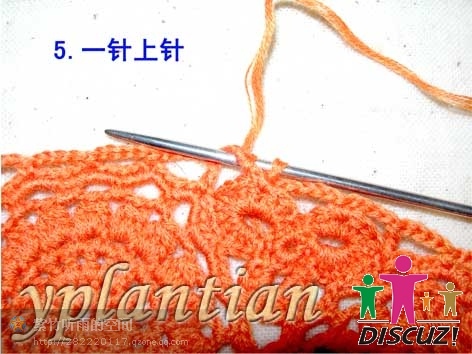 “菊影”一線連（一片藍(lán)天老師的教程） - wl961121 - 人生淡如菊的博客