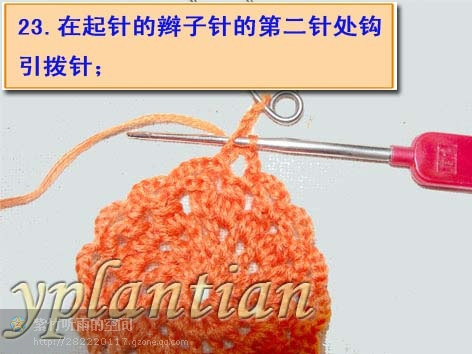 “菊影”一線連（一片藍(lán)天老師的教程） - wl961121 - 人生淡如菊的博客