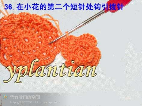 “菊影”一線連（一片藍(lán)天老師的教程） - wl961121 - 人生淡如菊的博客