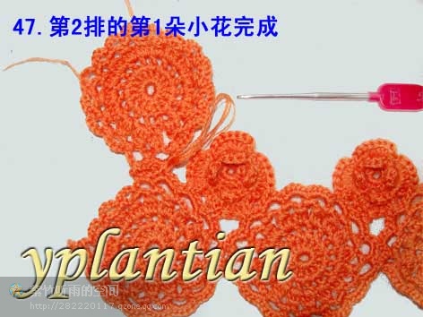 “菊影”一線連（一片藍(lán)天老師的教程） - wl961121 - 人生淡如菊的博客