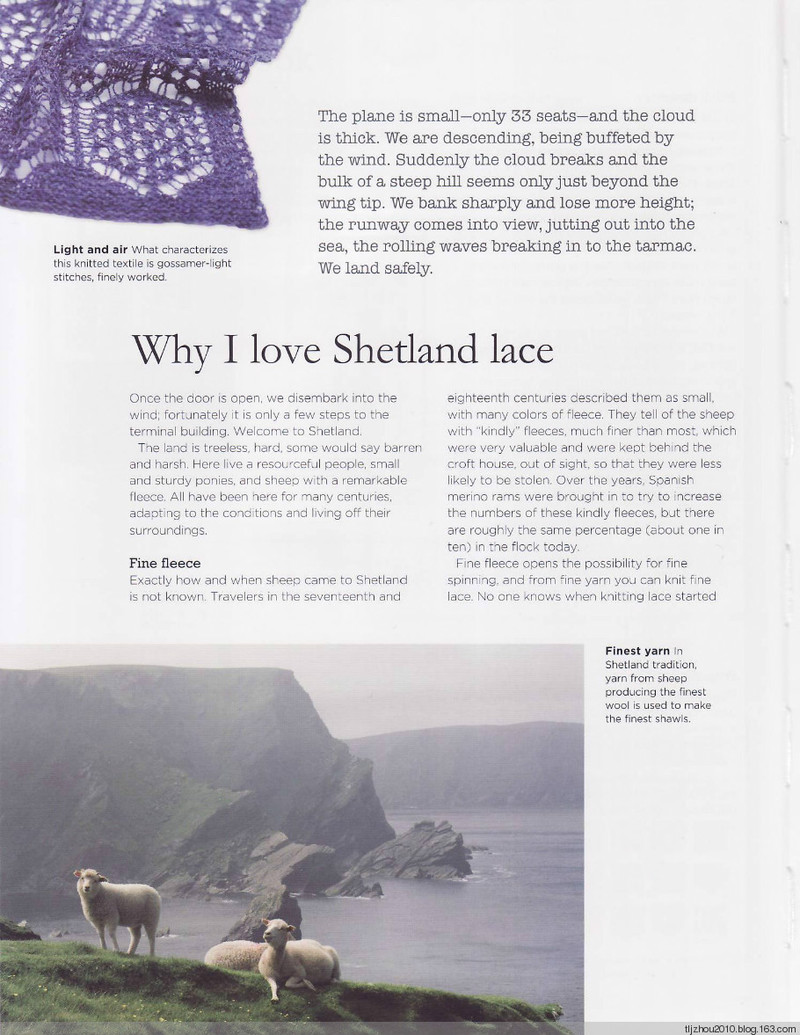 The Magic of Shetland Lace Knitting - 紫蘇 - 紫蘇的博客