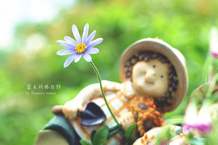 瑪格麗特的微笑 - 花滿樓 - 花滿樓