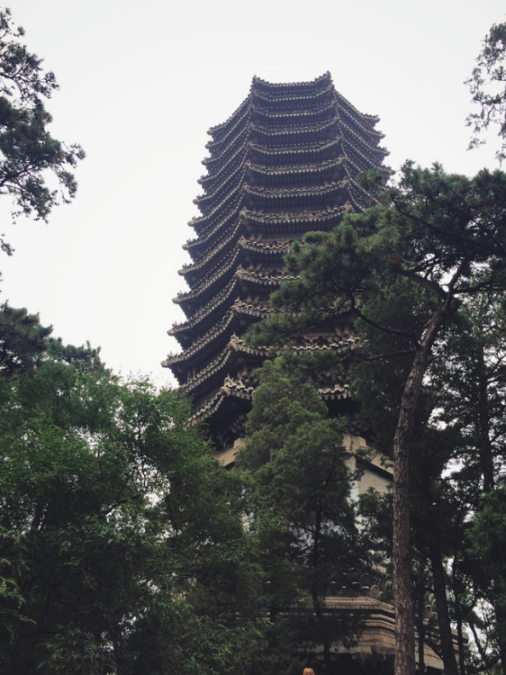 【走走聊聊拍拍】京城行游八天七夜DAY7——頤和園、圓明園遺址和北大 - 手指也跳舞 - 跳舞姐姐的手工莊園