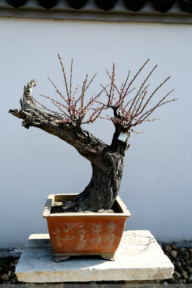 無(wú)錫--梅園 - 周太靚湯 - 周太靚湯