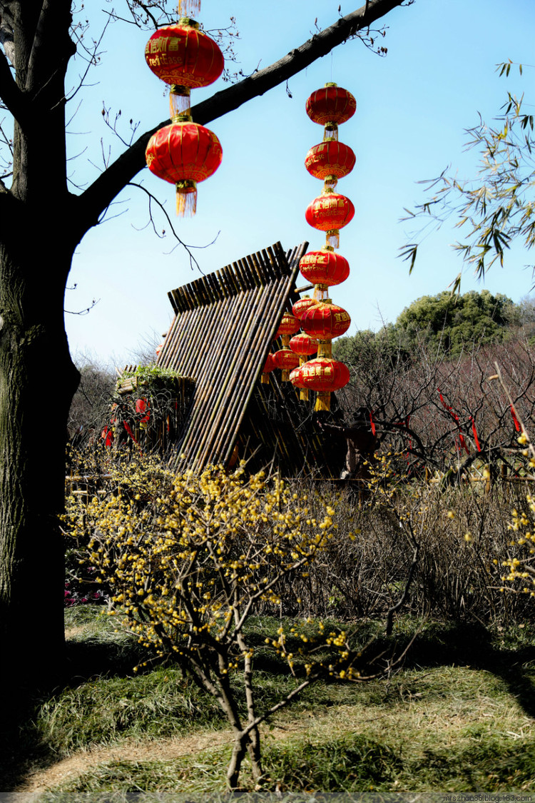 無(wú)錫--梅園 - 周太靚湯 - 周太靚湯