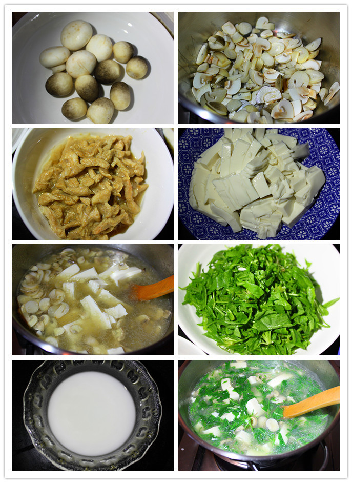 雙菇薺菜豆腐羹 - 周太靚湯 - 周太靚湯