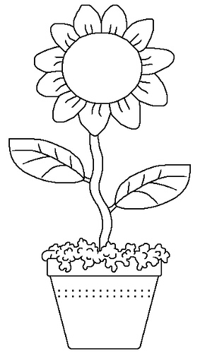 46210-57.jpg