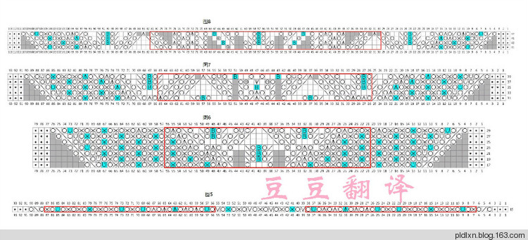 豆豆翻譯——火鳳凰 - pldlxn - 風征小屋
