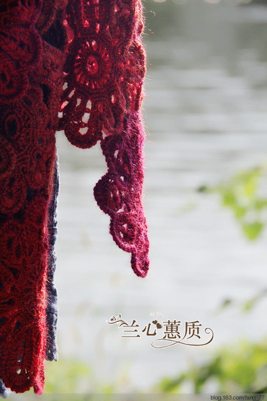 山菊花圍巾~~（蘭心蕙質(zhì)2014） - 蘭心蕙質(zhì) - 蘭心蕙質(zhì)藍(lán)云海