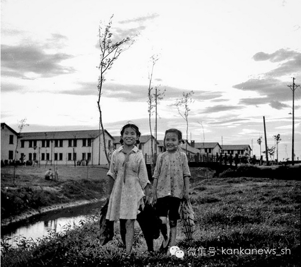 看懂上海:“解放號(hào)”地鐵上的風(fēng)景 - 美人遲暮 - 美人遲暮,知足爾樂(lè) 看懂上海:“解放號(hào)”地鐵上的風(fēng)景 - 美人遲暮 - 美人遲暮,知足爾樂(lè)
