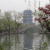 9982-4.jpg