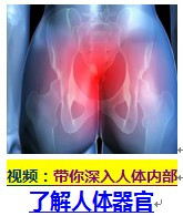 健康百科：親吻私處的健康隱患 - 南南 - 陽光南南