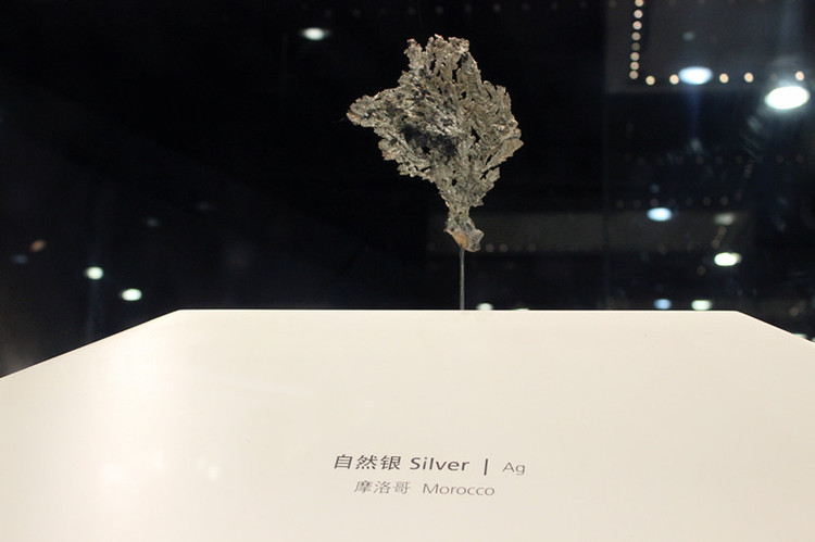 【上海】自然博物館（多圖慎入） - 邂逅 - 悠然生活