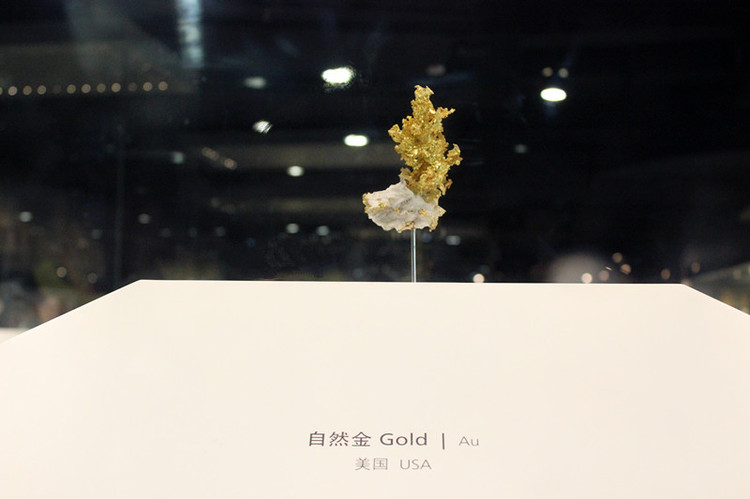 【上海】自然博物館 - 邂逅 - 悠然生活