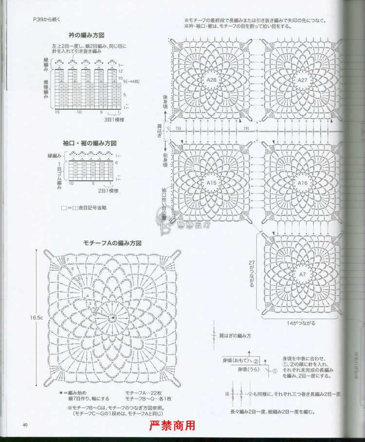 紫璇（1542） - 娥眉月 - 眉梢的陽光