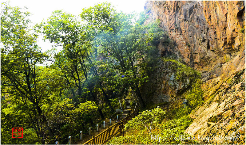 東北之行（11）-吉林省蛟河拉法山-8.30 - cello-ma - cello-ma的博客