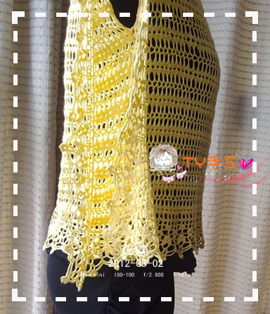 1228——化蝶——蝴蝶袖罩衫（未完待續(xù)） - ty - ty 的 編織博客