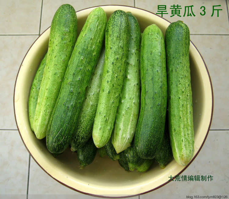 俄式美味黃瓜 - 大荒情 - fym823的博客