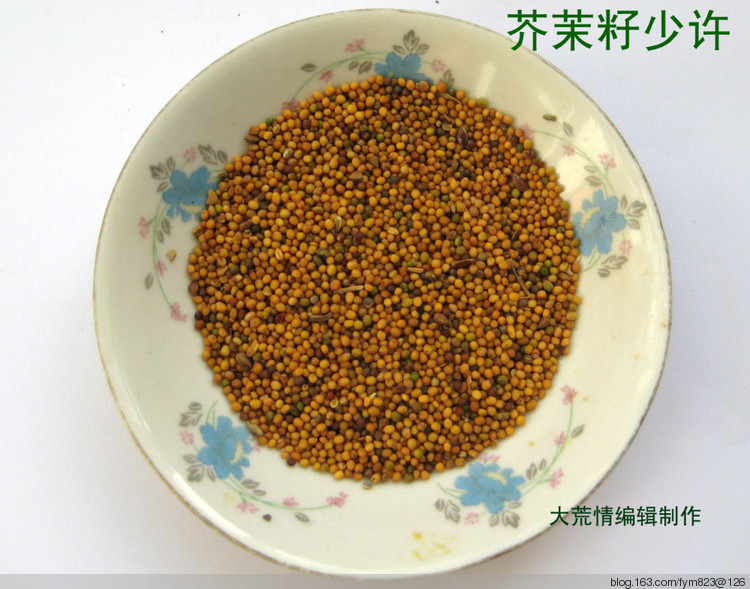 俄式美味黃瓜 - 大荒情 - fym823的博客