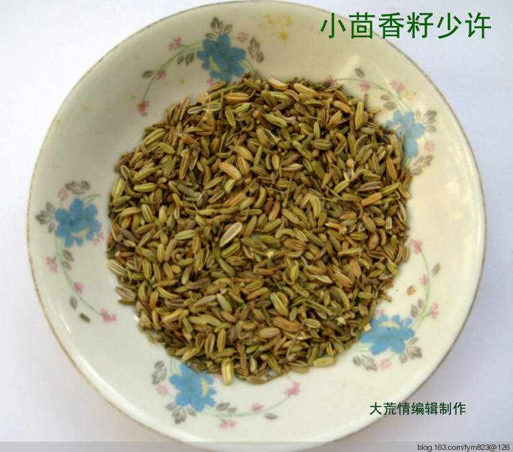 俄式美味黃瓜 - 大荒情 - fym823的博客