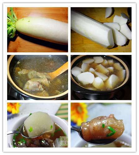 蘿卜牛筋湯 - 周太靚湯 - 周太靚湯