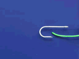 6689-6.jpg