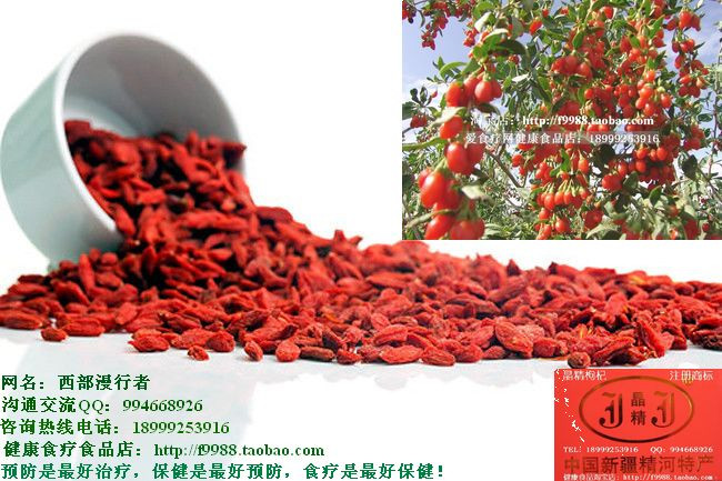 一個時刻嚼枸杞有兩大罕見奇效! - 西部漫行者 - 快樂食療健康園地
