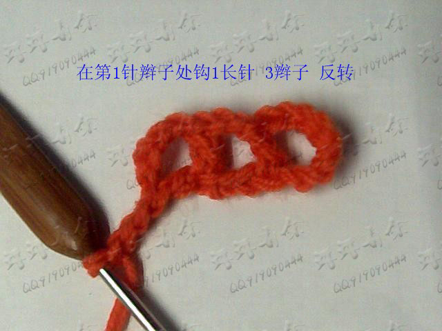 貴夫人披肩 - 楚天 - 海闊天空