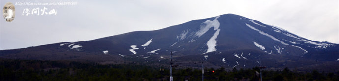 8982-0.jpg