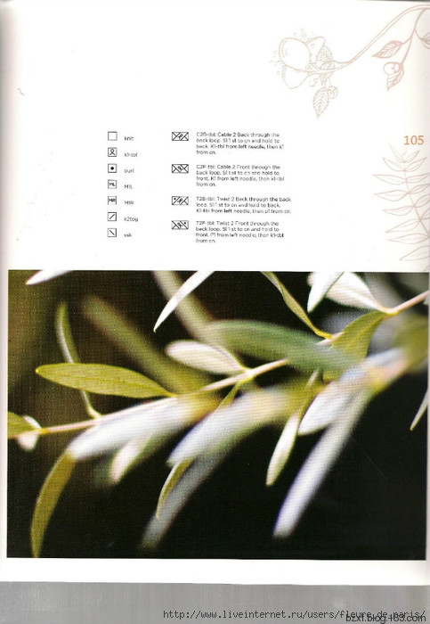 Verdure翠綠 - 編織幸福 - 編織幸福的博客