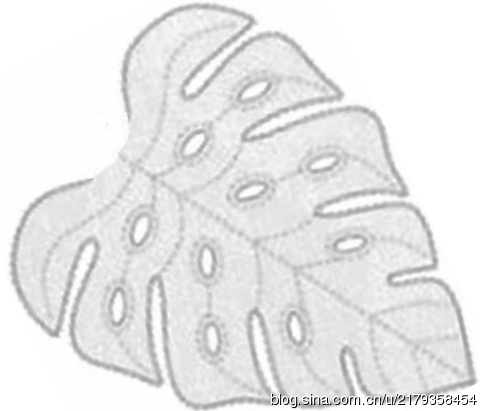 59286-6.jpg