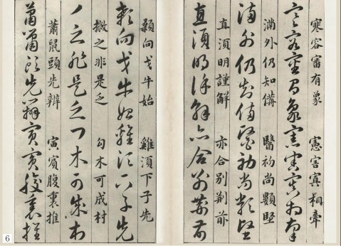 5891-100.jpg