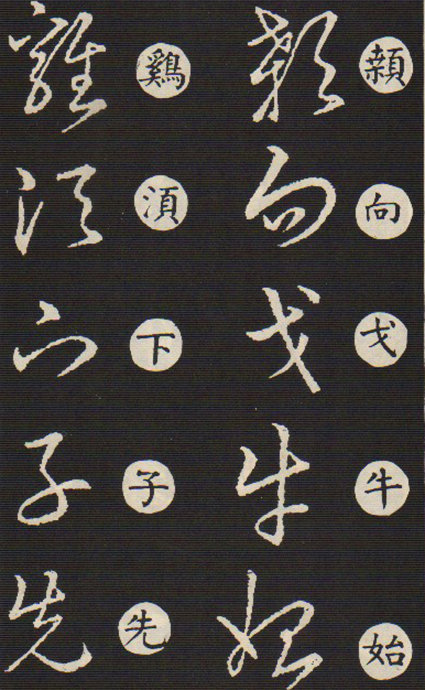 5891-20.jpg