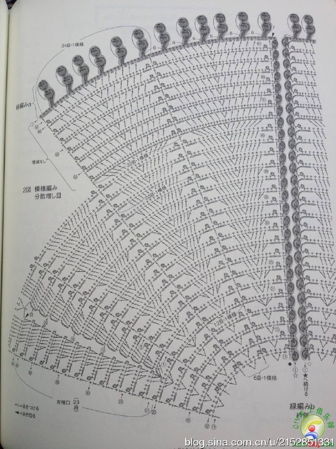 8928-79.jpg