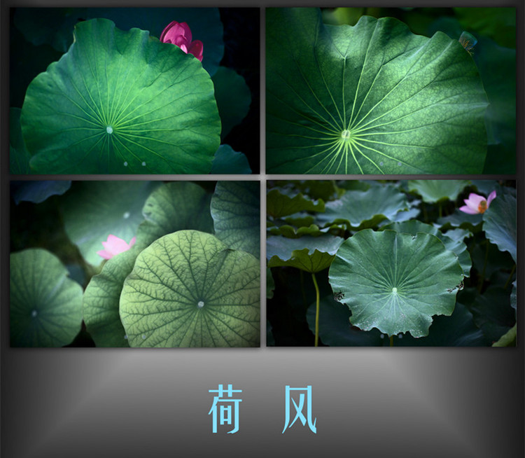夏日小清新鉤衣——荷風（2014.29） - 淺淺柏伊 - 淺淺柏伊