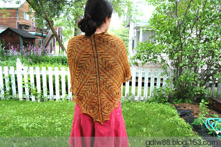 Late Hours Shawl - 木棉花 - 雨茫茫，霧茫茫，盼望花開(kāi)，花已落……