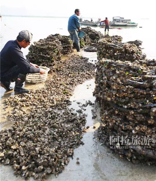 【天南海北】舌尖上的寧波小海鮮 - hjg631 - 哈軍工631隊(duì)的博客