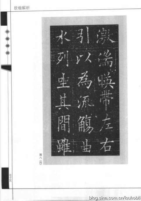 2941-81.jpg