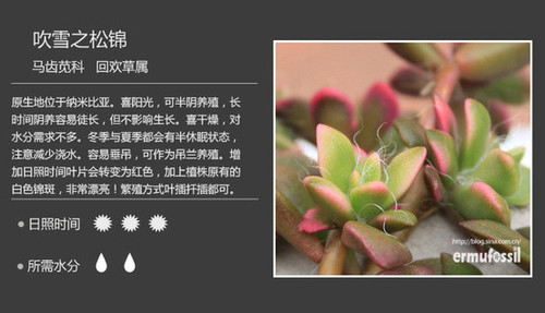 知足常樂 - 楚天 - 楚天·海闊天空