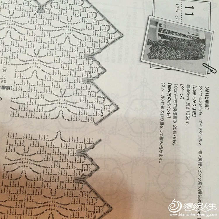 春來新葉透無痕 - 大俠 - 大俠金星艾爾的博客