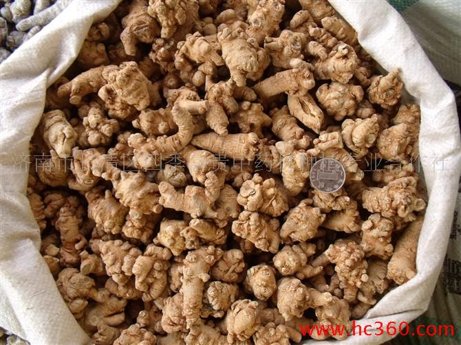 三七粉處方應(yīng)用及服用方法全解 - 厚德載福 - 厚德載福的博客