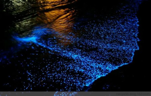 江西__福建八天七夜自駕游(三） - 美雅 -         美 雅