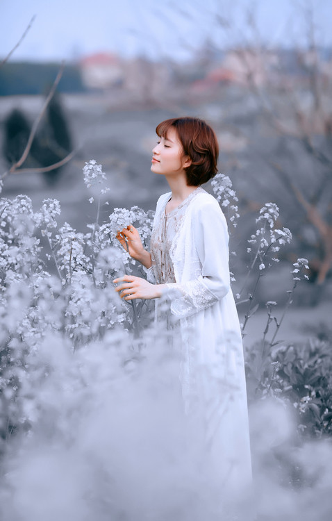陌上花開，相思成風【情感美文】 - 白石秋水 - 白石秋水