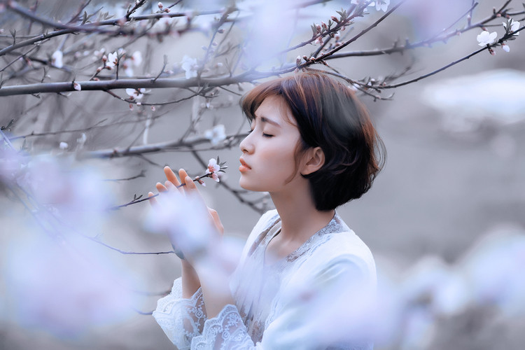 陌上花開，相思成風【情感美文】 - 白石秋水 - 白石秋水