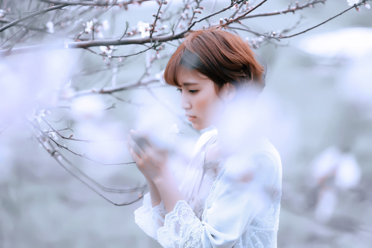 陌上花開，相思成風【情感美文】 - 白石秋水 - 白石秋水